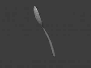 Wooden spoon Modelo 3D