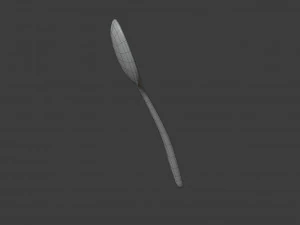 Colher de pau Modelo 3D
