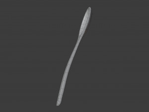 Wooden spoon Modelo 3D