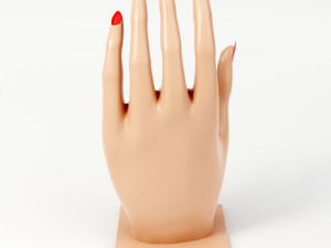 hand shaped soap dish 3D 모델