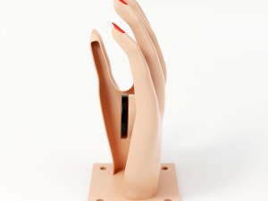 hand shaped soap dish 3D 모델