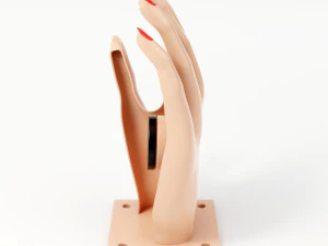 hand shaped soap dish 3D Model