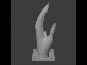hand shaped soap dish 3D 모델