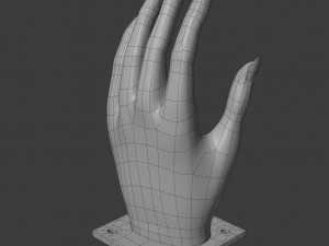 hand shaped soap dish 3D 모델
