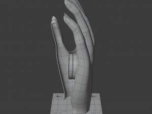 hand shaped soap dish 3D 모델