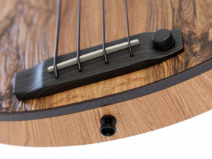 mb-2 fretless bass 3D Модель