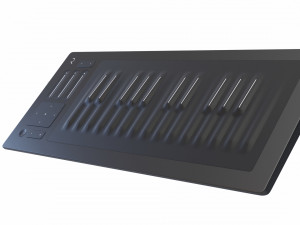 roli seaboard rise 25 3D Модель