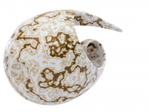 abstract vase 6 3D 모델