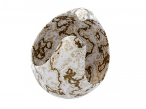 abstract vase 6 3D 모델