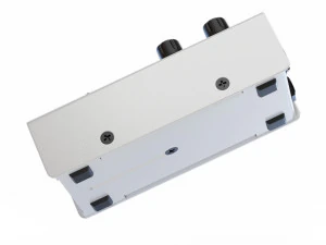 aguilar chorusaurus bass chorus pedal 3D Model
