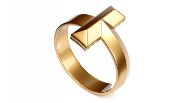 t1 ring 3D-Modell .c4d .max .obj .3ds .fbx .stl .blend 