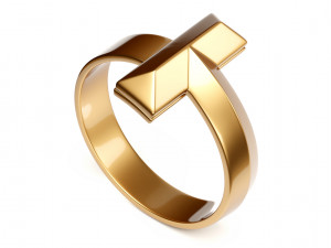 t1 ring 3D Model