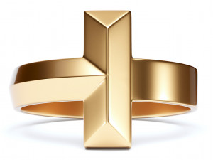 t1 ring 3D-Modell