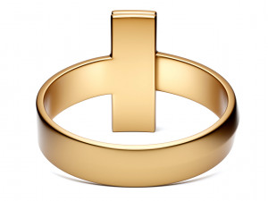 t1 ring 3D-Modell