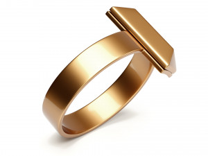 t1 ring 3D-Modell