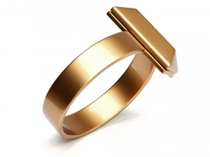 t1 ring 3D Model