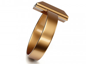 t1 ring 3D-Modell