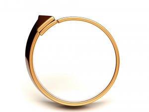 t1 ring 3D-Modell