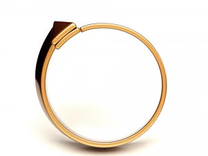 t1 ring 3D Model