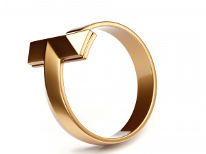 t1 ring 3D-Modell