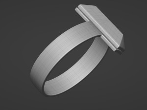 t1 ring 3D-Modell