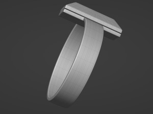 t1 ring 3D-Modell