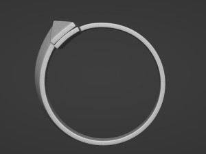 t1 ring 3D-Modell