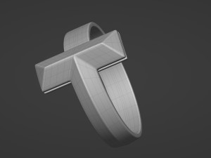 t1 ring 3D-Modell