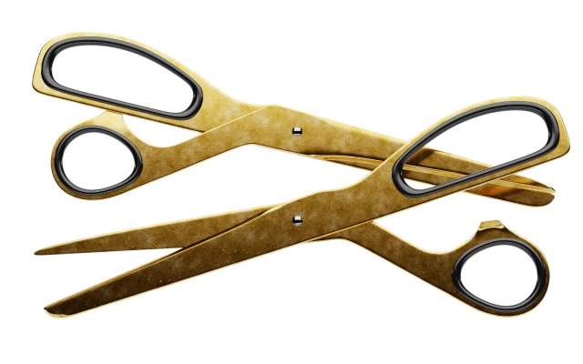 pirin&ccedil; makas 3D Model .c4d .max .obj .3ds .fbx .stl .blend 