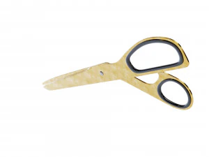 pirin&ccedil; makas 3D Model