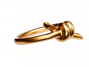 knot ring Modèle 3D