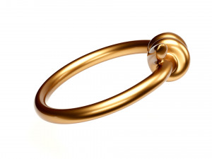 knot ring Modèle 3D