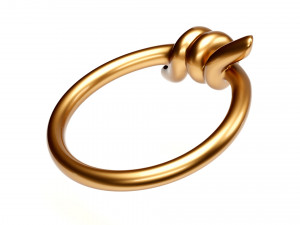 knot ring Modèle 3D
