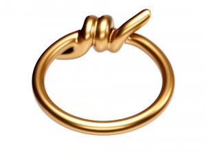 knot ring Modèle 3D