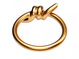 knot ring 3D Model