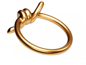 knot ring Modèle 3D