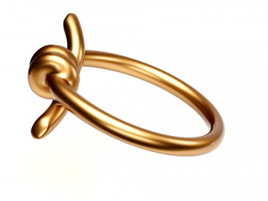 knot ring Modèle 3D