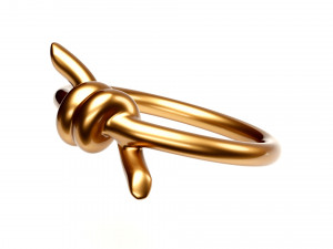 knot ring Modèle 3D