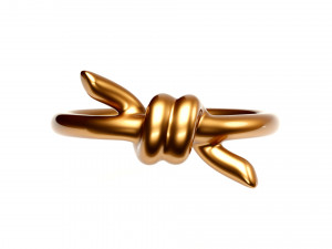 knot ring Modèle 3D