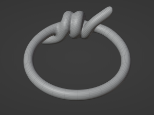 knot ring Modèle 3D