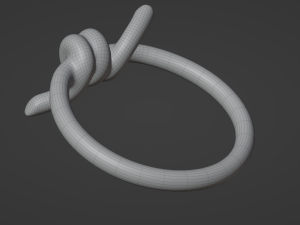 knot ring Modèle 3D