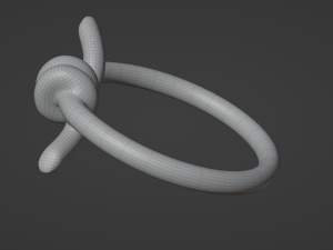 knot ring Modèle 3D