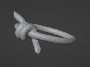 knot ring Modèle 3D