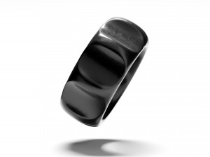 Palomas groove ring Model 3D