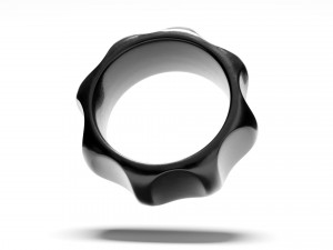 Palomas groove ring Model 3D