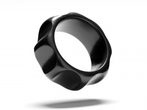 Palomas groove ring Model 3D