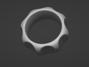 Palomas groove ring Model 3D