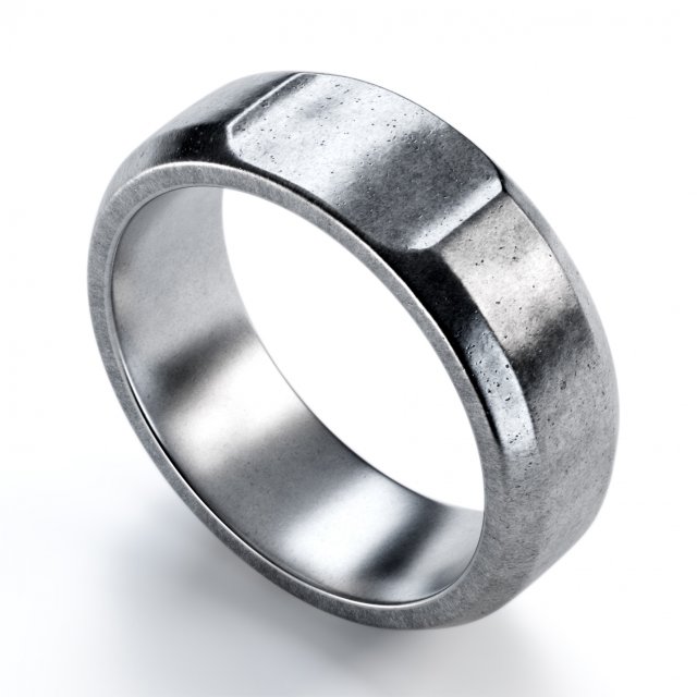 tumbled slice ring 3D Model .c4d .max .obj .3ds .fbx .stl .blend 