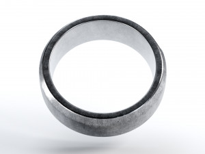 tumbled slice ring 3D Model