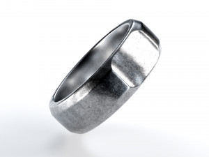 tumbled slice ring 3D Model
